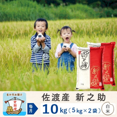 【毎月定期便】佐渡島産新之助 白米10kg全6回