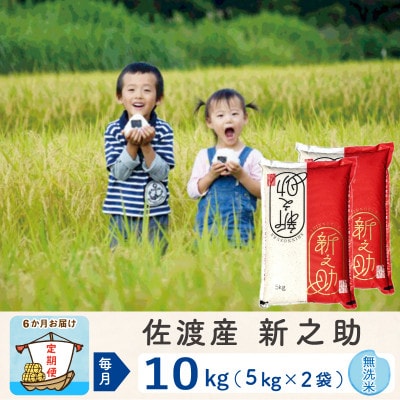 【毎月定期便】佐渡島産新之助 無洗米10kg全6回