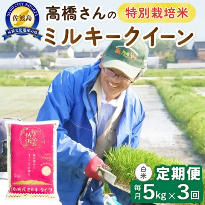 【毎月定期便】佐渡島産ミルキークイーン 白米5kg 特別栽培米　全3回