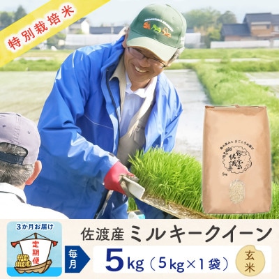 【毎月定期便】佐渡島産ミルキークイーン 玄米5kg 特別栽培米全3回