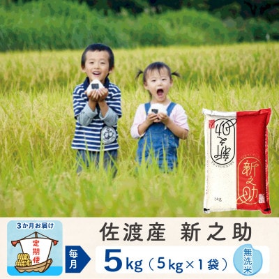 【毎月定期便】佐渡島産新之助 無洗米5kg　全3回