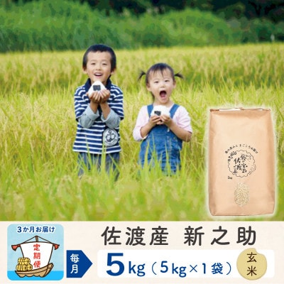 【毎月定期便】佐渡島産新之助 玄米5kg　全3回
