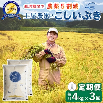 【毎月定期便】佐渡島産こしいぶき 白米4Kg 土屋農園 農家直送 栽培期間中農薬5割減　全3回