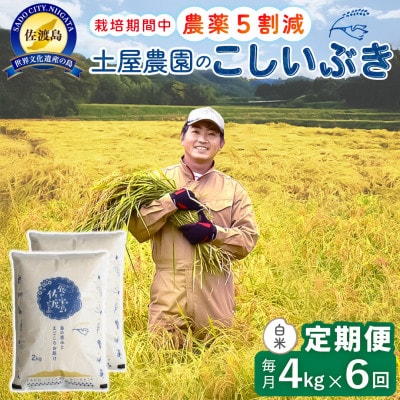 【毎月定期便】佐渡島産こしいぶき 白米4Kg 土屋農園 農家直送 栽培期間中農薬5割減　全6回