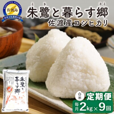 【毎月定期便】佐渡島産 朱鷺と暮らす郷(コシヒカリ) 白米2kg 特別栽培米全9回
