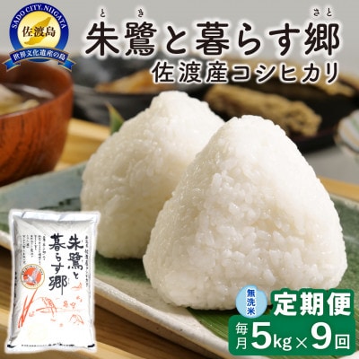 【毎月定期便】佐渡島産 朱鷺と暮らす郷(コシヒカリ) 無洗米5kg 特別栽培米　全9回