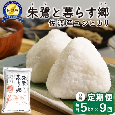 【毎月定期便】佐渡島産 朱鷺と暮らす郷(コシヒカリ) 白米5kg 特別栽培米　全9回