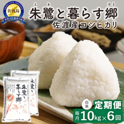 【毎月定期便】佐渡島産 朱鷺と暮らす郷(コシヒカリ) 白米10kg 特別栽培米　全6回