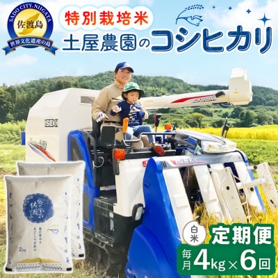 【毎月定期便】佐渡島産コシヒカリ 白米4kg 土屋農園 農家直送 特別栽培米 　全6回