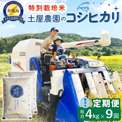 【毎月定期便】佐渡島産コシヒカリ 無洗米4kg 土屋農園 農家直送 特別栽培米　全9回