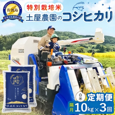 【2ヵ月毎定期便】佐渡島産コシヒカリ 白米10kg 土屋農園 農家直送 特別栽培米 　全3回