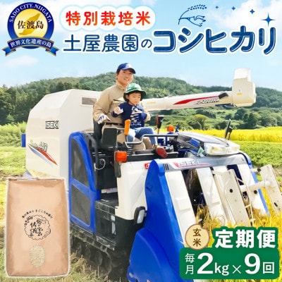 【毎月定期便】佐渡島産コシヒカリ 玄米2kg 土屋農園 農家直送 特別栽培米　全9回