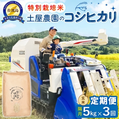 【2ヵ月毎定期便】佐渡島産コシヒカリ 玄米5kg 土屋農園 農家直送 特別栽培米　全3回