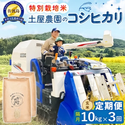 【2ヵ月毎定期便】佐渡島産コシヒカリ 玄米10kg 土屋農園 農家直送 特別栽培米　全3回