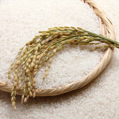 無洗米佐渡産コシヒカリ5kg(精米)
