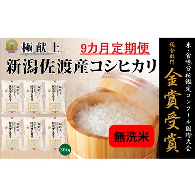 【毎月定期便】《無洗米》新潟県佐渡産コシヒカリ30kg全9回