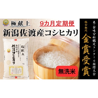 【毎月定期便】《無洗米》新潟県佐渡産コシヒカリ5kg  全9回