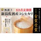 【毎月定期便】《無洗米》新潟県佐渡産コシヒカリ5kg  全6回
