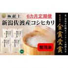 【毎月定期便】《無洗米》新潟県佐渡産コシヒカリ20kg全6回