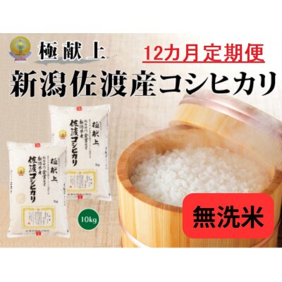 【毎月定期便】《無洗米》新潟県佐渡産コシヒカリ10kg全12回