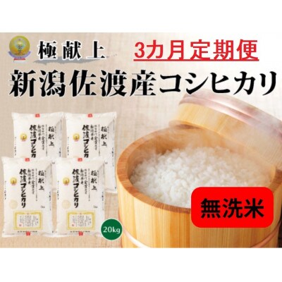 【毎月定期便】《無洗米》 新潟県佐渡産コシヒカリ20kg全3回