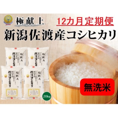 【毎月定期便】《無洗米》 新潟県佐渡産コシヒカリ20kg全12回