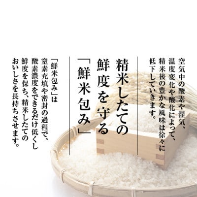 【毎月定期便】雪温精法　佐渡産こしひかり4kg全6回