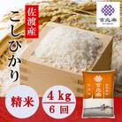 【毎月定期便】雪温精法　佐渡産こしひかり4kg全6回