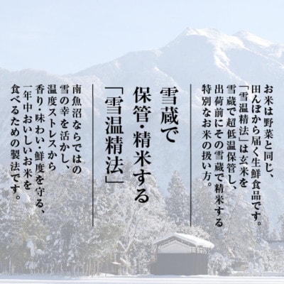 【毎月定期便】雪温精法　佐渡産こしひかり10kg　全12回