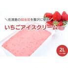 ＼アイス好きの方へ/　佐渡産「越後姫」のいちごアイスクリーム　1L×2個　計2L