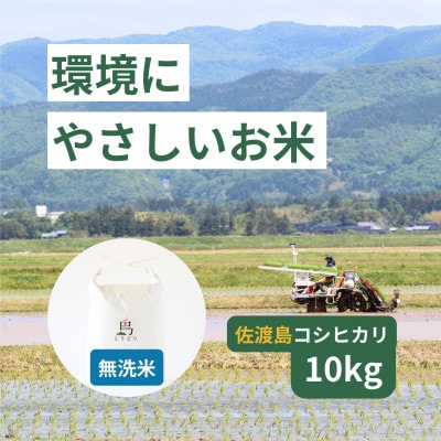 「環境にやさしい」新潟県佐渡産コシヒカリ【無洗米】10kg(栽培期間中農薬不使用)