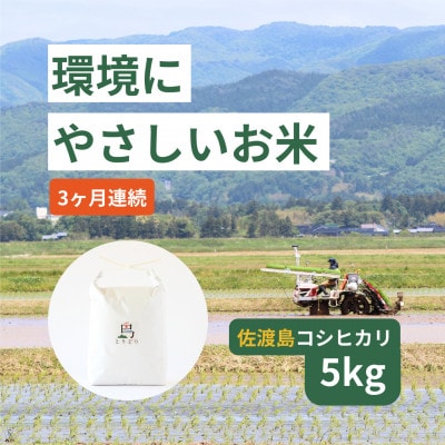 【毎月定期便】「環境にやさしい」新潟県佐渡産コシヒカリ5kg(栽培期間中農薬不使用)全3回