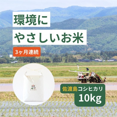 【毎月定期便】「環境にやさしい」新潟県佐渡産コシヒカリ10kg(栽培期間中農薬不使用)全3回