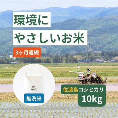 【毎月定期便】「環境にやさしい」新潟佐渡産コシヒカリ【無洗米】10kg(栽培期間中農薬不使用)全3回
