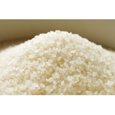 【5kg】佐渡産コシヒカリ【令和6年産】