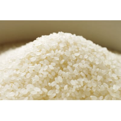 【10kg】佐渡産コシヒカリ【令和6年産】