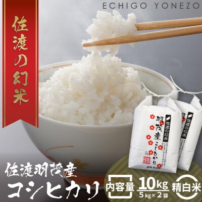 佐渡 羽茂産コシヒカリ 10kg(5kg×2袋) 精白米