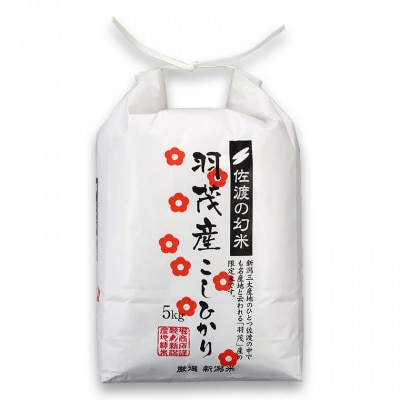 佐渡 羽茂産コシヒカリ 20kg(5kg×4袋) 精白米