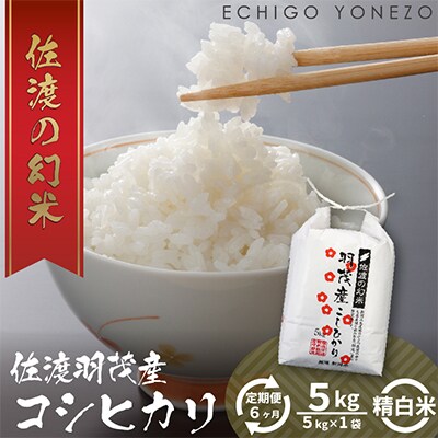 【毎月定期便】佐渡 羽茂産コシヒカリ 5kg 白米全6回