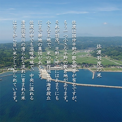 【毎月定期便】佐渡 羽茂産コシヒカリ 5kg 白米全6回