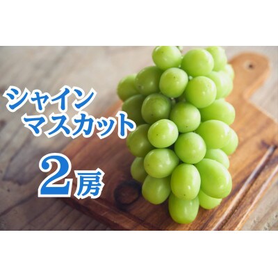 佐渡産天然えご草 - 【公式】佐渡島・大栄丸オンラインショップ