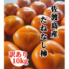 訳あり　佐渡島産たねなし柿　10kg