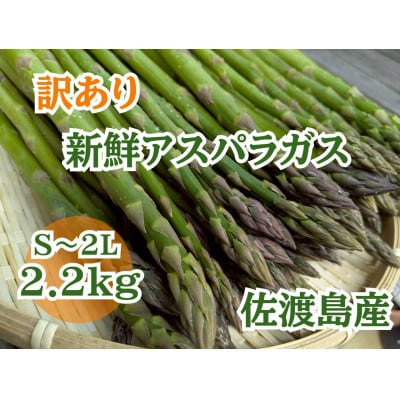 佐渡島産　訳ありアスパラガス2.2kg