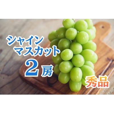 シャインマスカット2房　秀品　約1.2kg【佐渡島産】