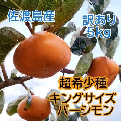 佐渡島の希少柿　幻のキングサイズパーシモン　訳あり品　5kg