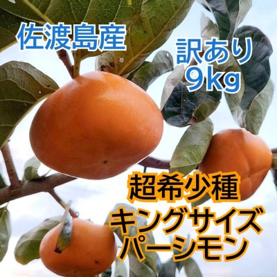 佐渡島の希少柿　幻のキングサイズパーシモン　訳あり品　9kg