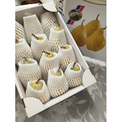 「ル・レクチェ」10～11玉(計4kg) 秀品　佐渡島産　西洋梨