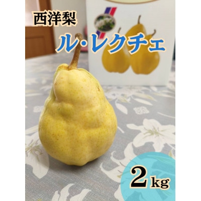 西洋梨「ル・レクチェ」5玉(計2kg) 秀品　佐渡島産　