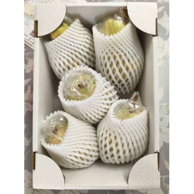 西洋梨「ル・レクチェ」5玉(計2kg) 秀品　佐渡島産　