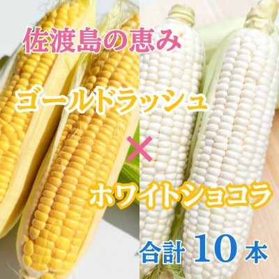 高糖度とうもろこし「ゴールドラッシュ」&「ホワイトショコラ」各5本 食べ比べセット